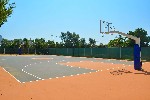 Basketbal