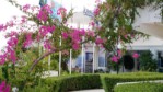 Řecko, Rhodos, Afandou - IRIS