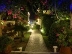 Zahrada - Noční fotky