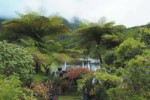 Réunion - Fly & Drive kouzelná místa ostrova Reunion