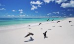Seychely, Bird Island - Bird Island Lodge - PLAZ