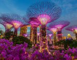 Singapur, Malajsie + odpočinek u moře na ostrově Phu Quoc