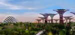 Singapur, Malajsie + odpočinek u moře na ostrově Phu Quoc