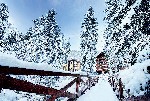 Hotel WELLNESS HOTEL CHOPOK - bez skipasu dovolená
