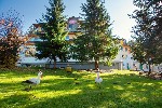 Hotel RELAX HOTEL AVENA - Rodinný pobyt 4 noci - Liptovský Ján dovolená