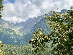 Hotel Slovensko - kouzlo Vysokých Tater dovolená