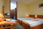 Hotel HOTEL HUTNÍK I - Rekreační pobyt dovolená