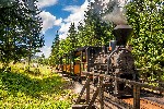 Slovensko - Múzeum kysuckej dediny - parní železnice