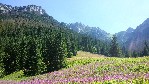 Polsko Tatry koscieliska2