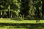Hotel ROYAL PALACE dovolená