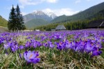 Hotel Slovensko - Vysoké Tatry s pěší turistikou dovolená