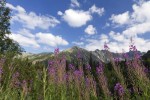 Hotel Slovensko - Vysoké Tatry s pěší turistikou dovolená