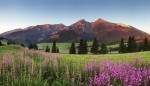 Slovensko, Prešovský kraj, Poprad - Vysoké Tatry vlakem