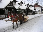(Slovensko, Prešovský kraj, Vyšné Ružbachy) - HOTEL ŠVÝCARSKÉ DOMKY - Rekreační pobyt - Vyšné Ružbachy