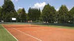 Hotel WELLNESS HOTEL PATINCE dovolená