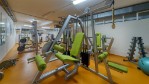 Hotel WELLNESS HOTEL PATINCE dovolená
