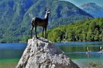 Hotel BLED & SAVICA jezerní romance v Julských Alpách dovolená