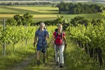 (Slovinsko, Pomursko, Moravske Toplice) - MORAVSKE TOPLICE & TERMAL velikonoční relax v Terme 3000