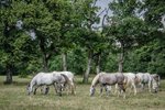 Hotel Skryté perly Slovinska – nádherná příroda, gurmánské zážitky a alpská romantika dovolená