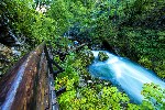 Hotel Jezero Bled a soutěska Vintgar dovolená
