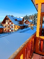 Hotel FOREST HOTEL VIDEC dovolená