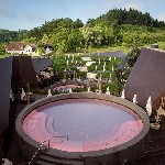 Wellness centre Termalija