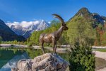 Hotel Jarní Slovinsko: Postojna, jezero Bled a Julské Alpy dovolená