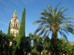 Hotel Málaga a Andalusie netradičně - letecky z Brna dovolená