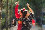 Flamenco