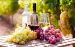 Katalansko_vino_1.jpg