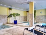 Wellness