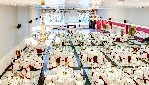 Restaurace
