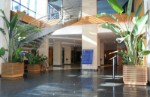Hotel Madeira Centro  dovolená