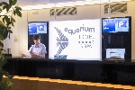 Hotel GHT Aquarium & SPA - recepce