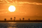 Španělsko, Murcia, La Manga del Mar Menor - Jóga u laguny Mar Menor 55+