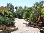 Hotel Oasis Village dovolená