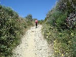 Camino 2011 140_212285.jpg