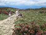 Camino de Santiago 10_212287.JPG