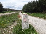 Camino de Santiago 9_212288.JPG