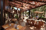 Restaurace