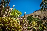 Hotel KANÁRSKÉ OSTROVY - GRAN CANARIA dovolená