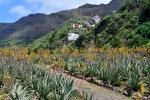 Španělsko, La Gomera, Playa de Santiago - Pěší turistika na ostrově La Gomera 55+