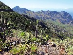 Španělsko, La Gomera, Španělsko, Tenerife, Puerto de la Cruz - Kanárské ostrovy Tenerife a La Gomera - s pobytem u moře