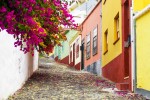 Hotel Pěší turistika na ostrově La Palma dovolená