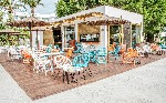 Bar Cactus