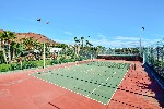 Tenis