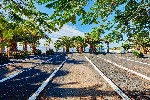 Petanque