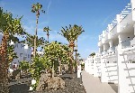 Zahrada