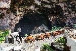 jameos del agua (2).jpg
