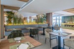 Hotel THB Bamboo Alcudia dovolenka